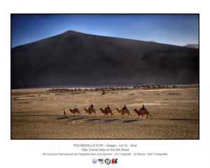 04_PSA-Golden-Medal_Lei-YU_CHINA_Camel-bells-on-the-Silk-Road_445761-copia